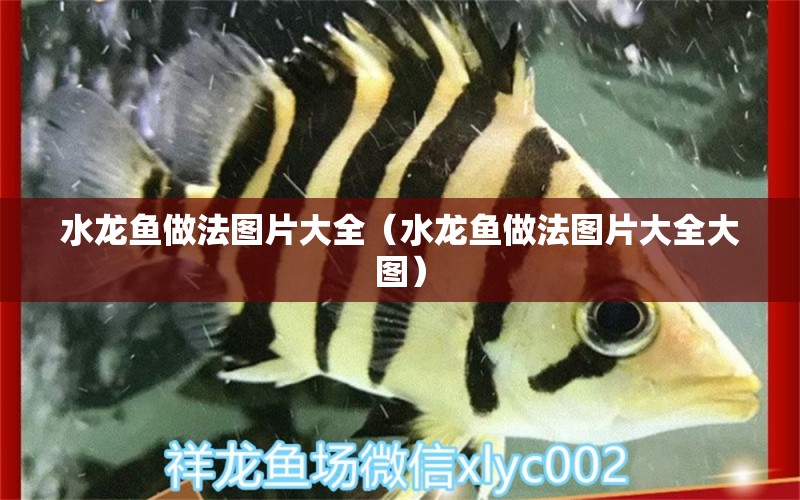 水龍魚(yú)做法圖片大全（水龍魚(yú)做法圖片大全大圖）