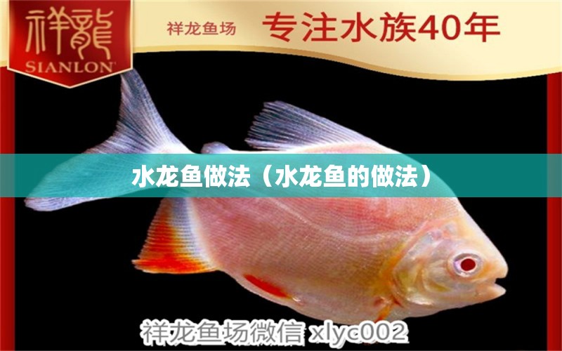 水龍魚做法（水龍魚的做法） 廣州龍魚批發(fā)市場