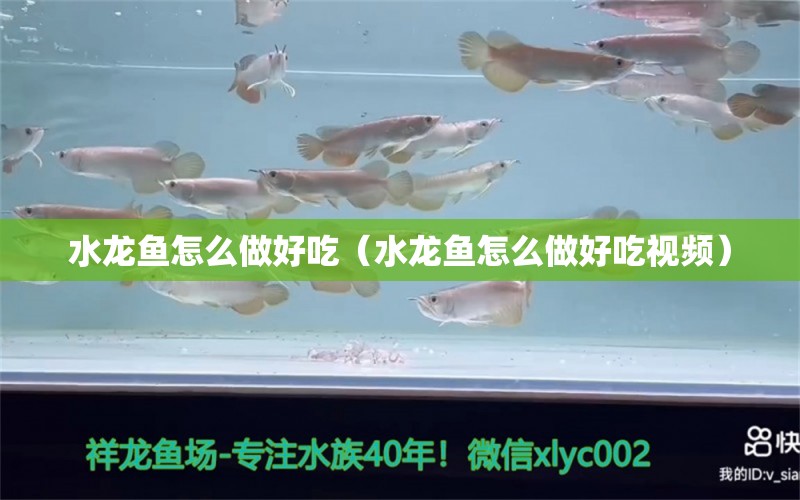 水龍魚(yú)怎么做好吃（水龍魚(yú)怎么做好吃視頻）