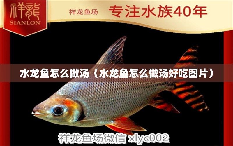 水龍魚(yú)怎么做湯（水龍魚(yú)怎么做湯好吃圖片）