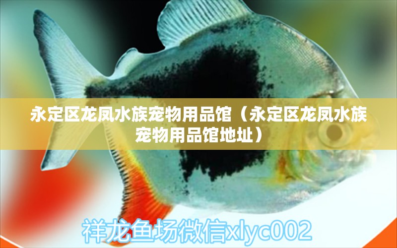 永定區(qū)龍鳳水族寵物用品館（永定區(qū)龍鳳水族寵物用品館地址）