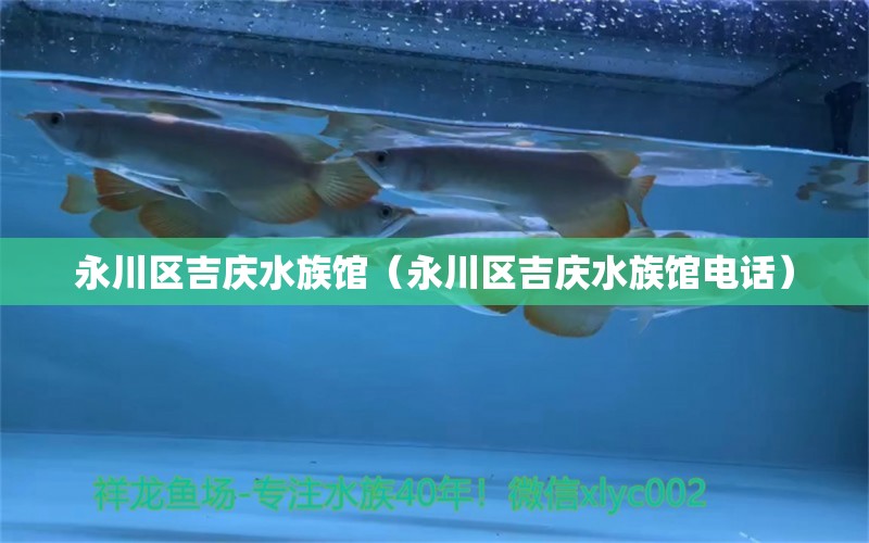 永川區(qū)吉慶水族館（永川區(qū)吉慶水族館電話）