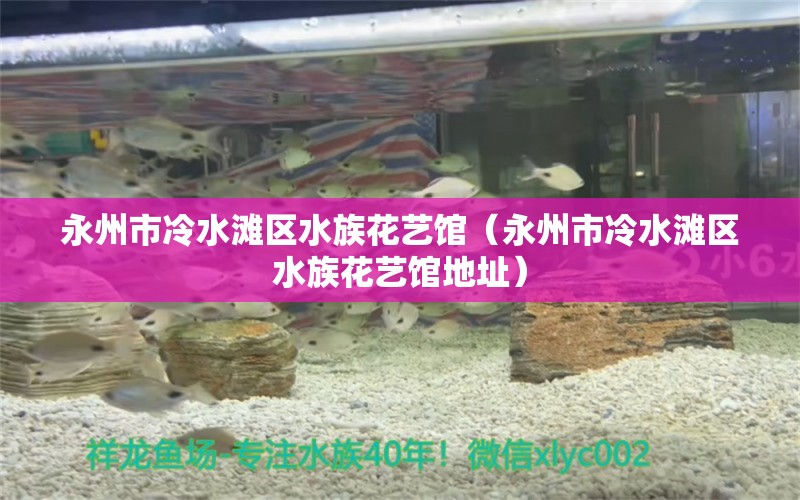 永州市冷水灘區(qū)水族花藝館（永州市冷水灘區(qū)水族花藝館地址）