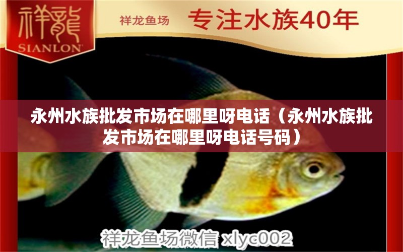 永州水族批發(fā)市場(chǎng)在哪里呀電話（永州水族批發(fā)市場(chǎng)在哪里呀電話號(hào)碼） 觀賞魚(yú)水族批發(fā)市場(chǎng)