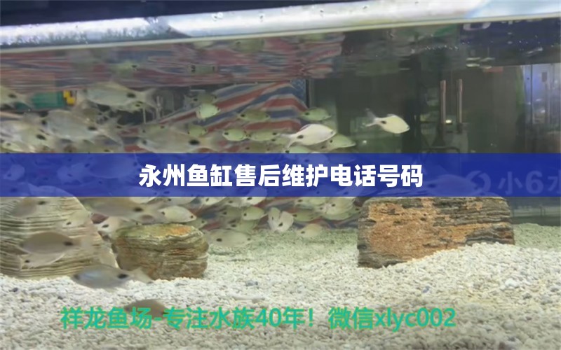 永州魚缸售后維護電話號碼 其他品牌魚缸