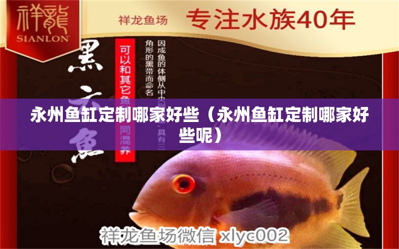 永州魚缸定制哪家好些（永州魚缸定制哪家好些呢） 祥龍水族醫(yī)院