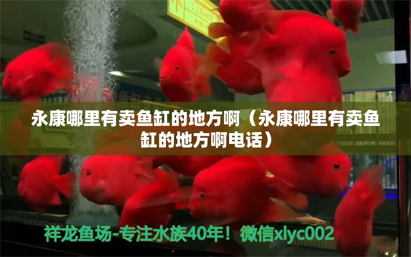 永康哪里有賣魚缸的地方?。ㄓ揽的睦镉匈u魚缸的地方啊電話）