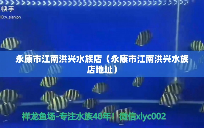 永康市江南洪興水族店（永康市江南洪興水族店地址）