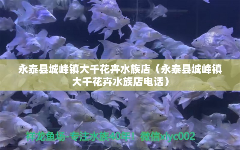 永泰縣城峰鎮(zhèn)大千花卉水族店（永泰縣城峰鎮(zhèn)大千花卉水族店電話） 全國水族館企業(yè)名錄