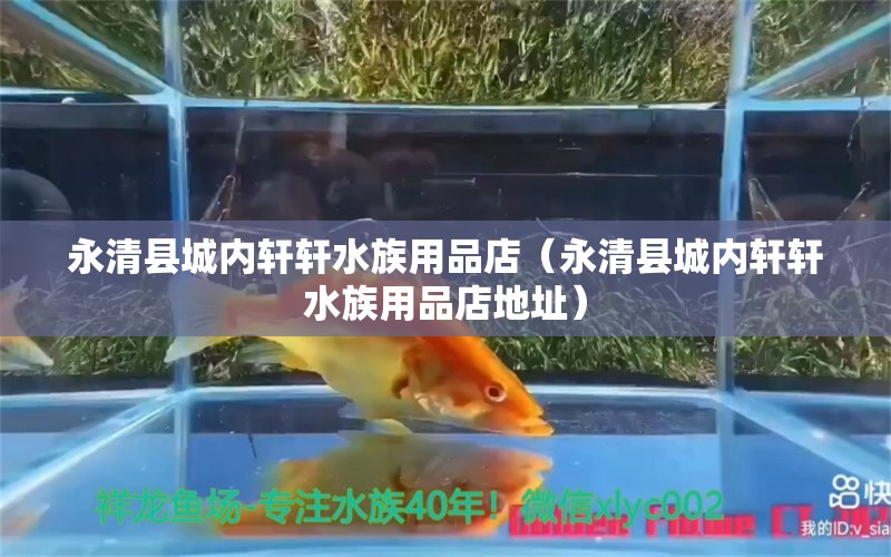 永清縣城內(nèi)軒軒水族用品店（永清縣城內(nèi)軒軒水族用品店地址） 水族用品