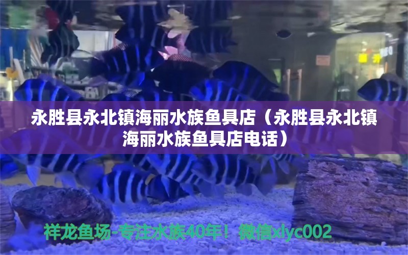 永勝縣永北鎮(zhèn)海麗水族魚具店（永勝縣永北鎮(zhèn)海麗水族魚具店電話） 全國水族館企業(yè)名錄