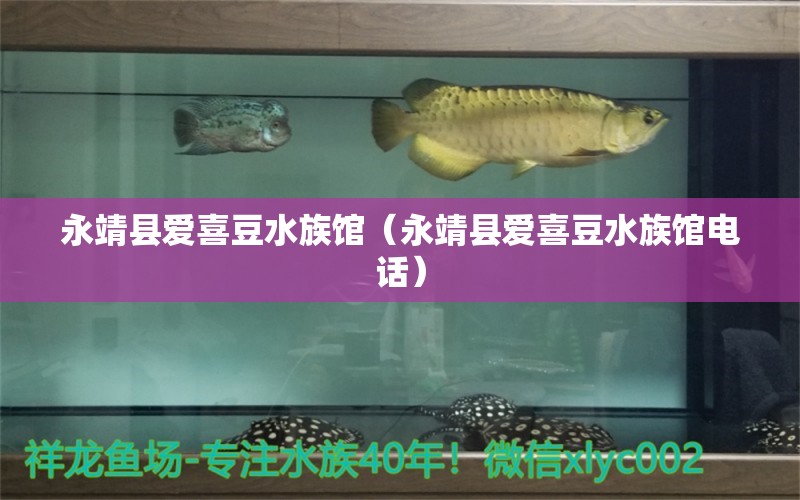 永靖縣愛喜豆水族館（永靖縣愛喜豆水族館電話） 全國(guó)水族館企業(yè)名錄