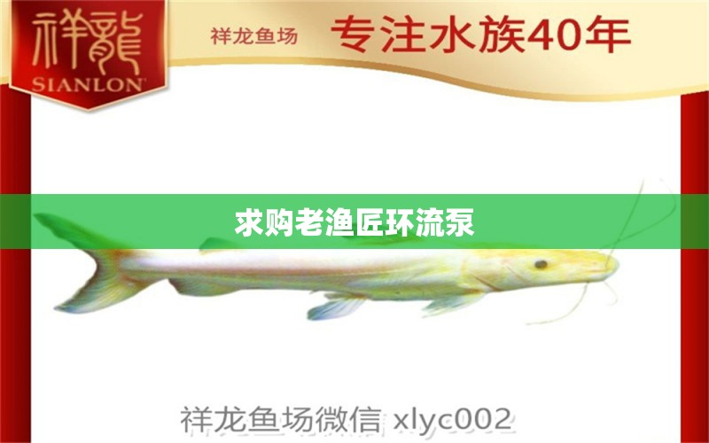 求購(gòu)老漁匠環(huán)流泵 月光鴨嘴魚(yú)