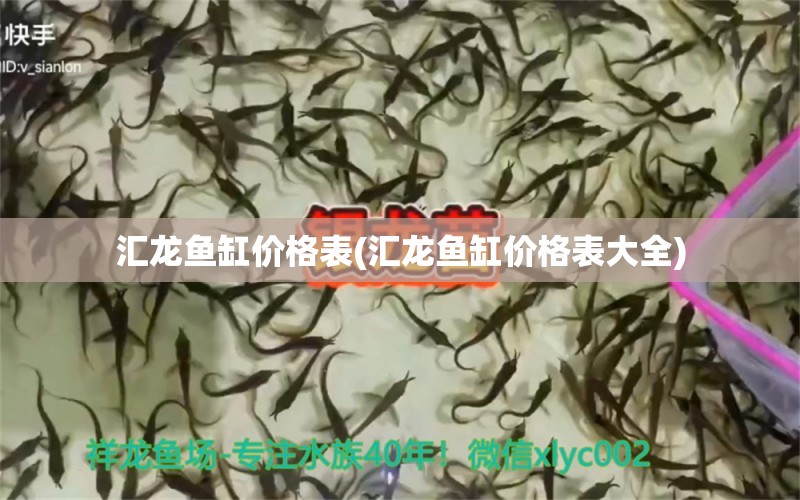 匯龍魚缸價(jià)格表(匯龍魚缸價(jià)格表大全) 祥龍傳奇品牌魚缸