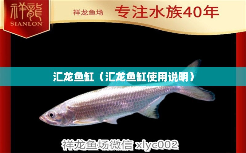 匯龍魚缸（匯龍魚缸使用說明）