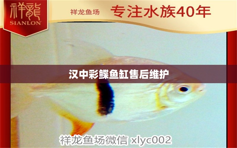 漢中彩鰈魚缸售后維護(hù) 彩鰈魚缸（彩蝶魚缸）