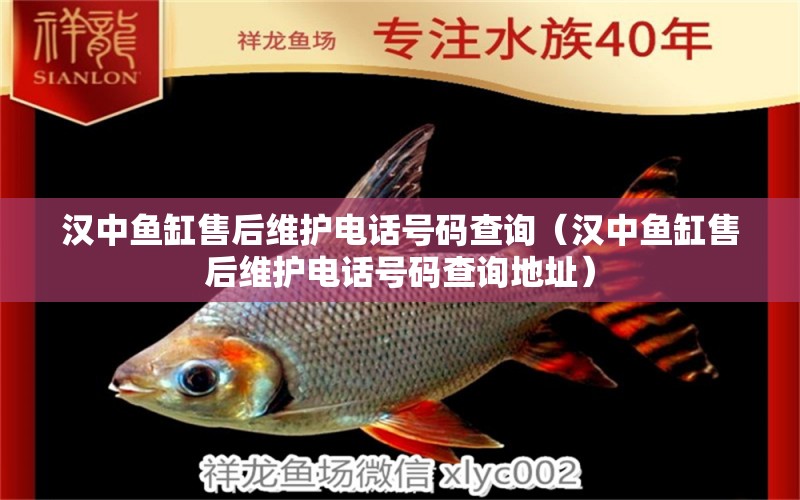 漢中魚缸售后維護(hù)電話號碼查詢（漢中魚缸售后維護(hù)電話號碼查詢地址） 其他品牌魚缸