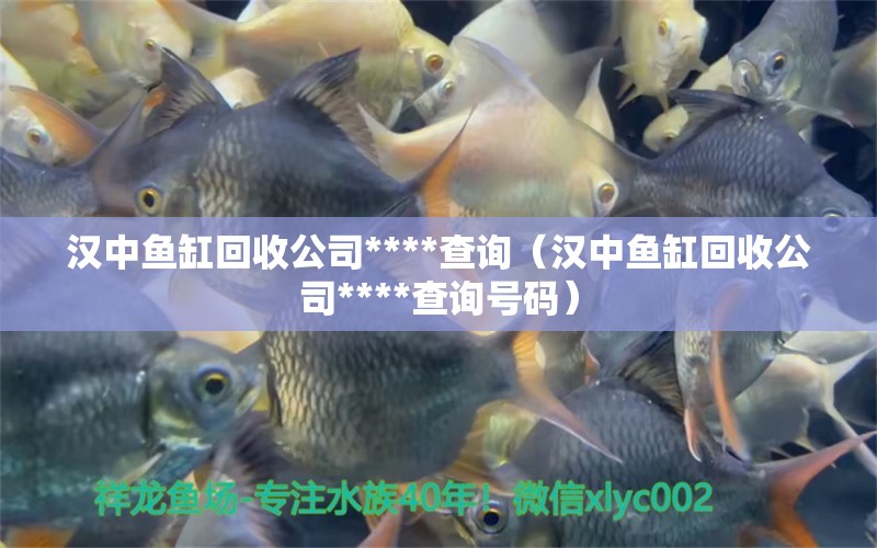 漢中魚缸回收公司****查詢（漢中魚缸回收公司****查詢號碼） 狗頭魚