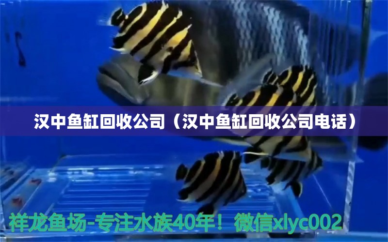 漢中魚缸回收公司（漢中魚缸回收公司電話）