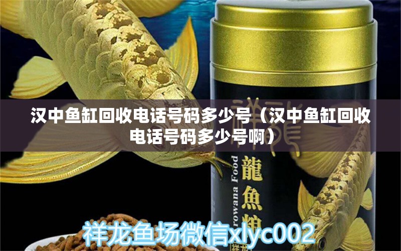 漢中魚缸回收電話號碼多少號（漢中魚缸回收電話號碼多少號?。? title=