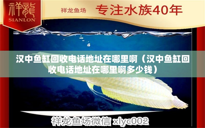 漢中魚(yú)缸回收電話(huà)地址在哪里啊（漢中魚(yú)缸回收電話(huà)地址在哪里啊多少錢(qián)） 觀賞魚(yú)市場(chǎng)（混養(yǎng)魚(yú)）