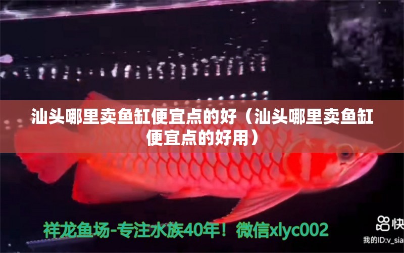 汕頭哪里賣魚缸便宜點(diǎn)的好（汕頭哪里賣魚缸便宜點(diǎn)的好用） 過(guò)濾設(shè)備