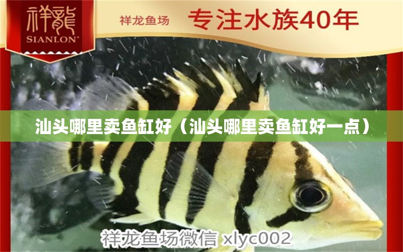 汕頭哪里賣魚缸好（汕頭哪里賣魚缸好一點(diǎn)）