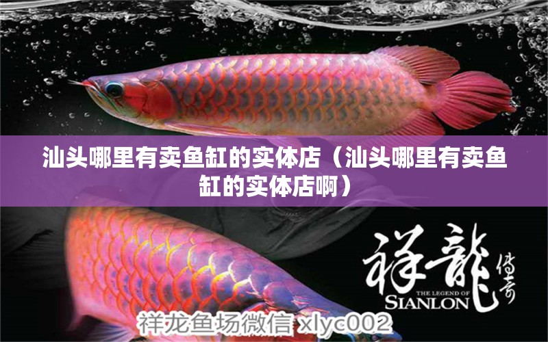 汕頭哪里有賣魚缸的實體店（汕頭哪里有賣魚缸的實體店?。? title=