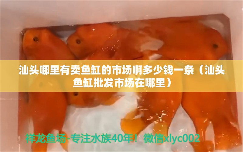 汕頭哪里有賣魚缸的市場啊多少錢一條（汕頭魚缸批發(fā)市場在哪里） 水族展會