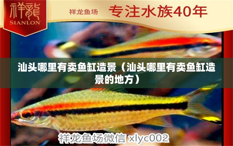 汕頭哪里有賣魚缸造景（汕頭哪里有賣魚缸造景的地方） 金三間魚