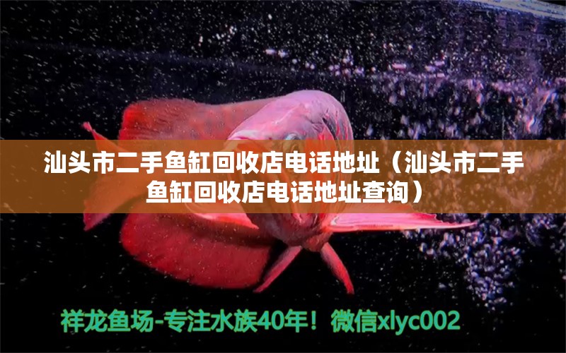 汕頭市二手魚缸回收店電話地址（汕頭市二手魚缸回收店電話地址查詢） 短身紅龍魚