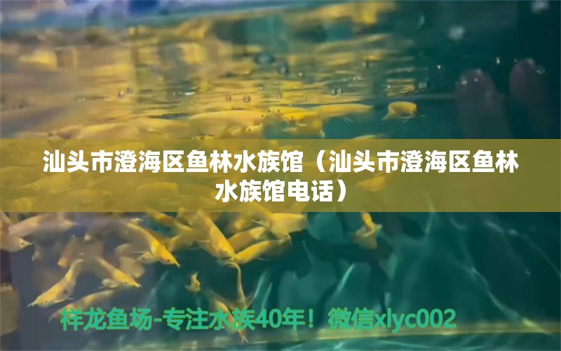 汕頭市澄海區(qū)魚林水族館（汕頭市澄海區(qū)魚林水族館電話）