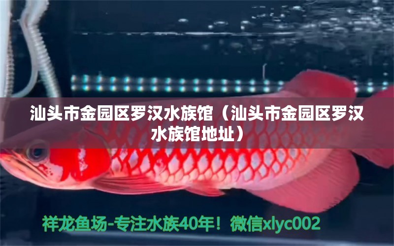 汕頭市金園區(qū)羅漢水族館（汕頭市金園區(qū)羅漢水族館地址） 全國水族館企業(yè)名錄