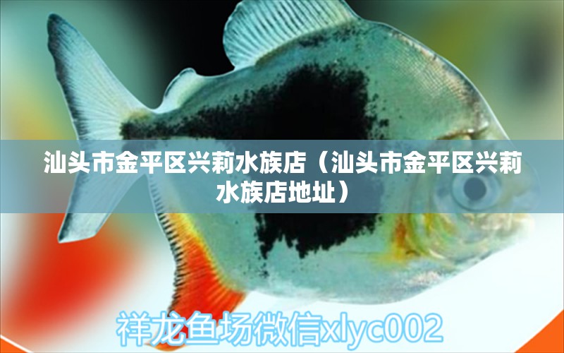 汕頭市金平區(qū)興莉水族店（汕頭市金平區(qū)興莉水族店地址） 全國水族館企業(yè)名錄