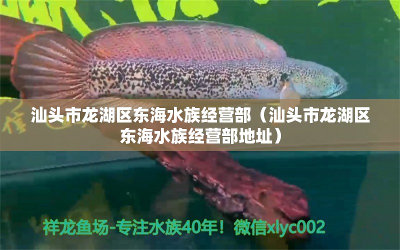 汕頭市龍湖區(qū)東海水族經(jīng)營部（汕頭市龍湖區(qū)東海水族經(jīng)營部地址） 全國水族館企業(yè)名錄