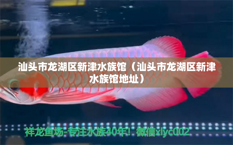 汕頭市龍湖區(qū)新津水族館（汕頭市龍湖區(qū)新津水族館地址） 全國(guó)水族館企業(yè)名錄