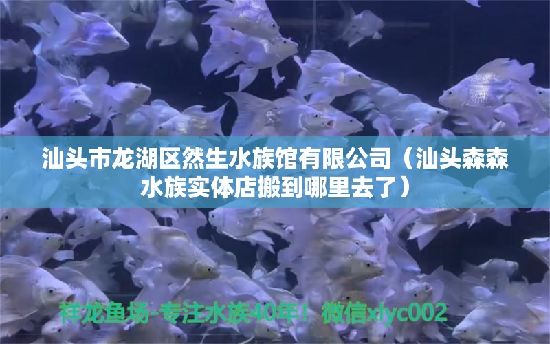 汕頭市龍湖區(qū)然生水族館有限公司（汕頭森森水族實(shí)體店搬到哪里去了）