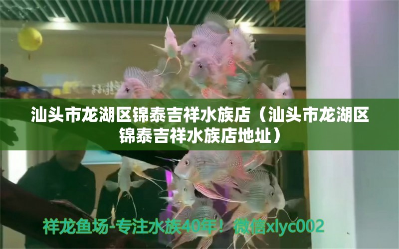 汕頭市龍湖區(qū)錦泰吉祥水族店（汕頭市龍湖區(qū)錦泰吉祥水族店地址） 全國(guó)水族館企業(yè)名錄