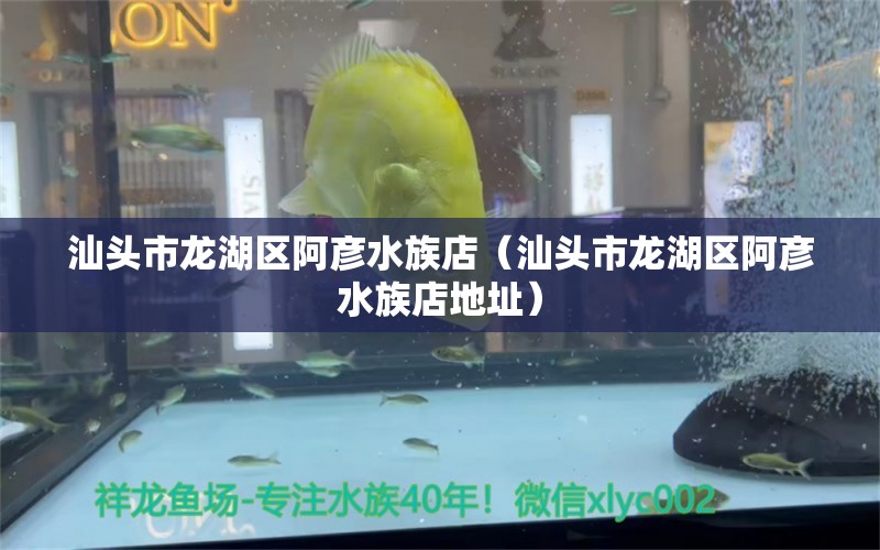 汕頭市龍湖區(qū)阿彥水族店（汕頭市龍湖區(qū)阿彥水族店地址） 全國水族館企業(yè)名錄