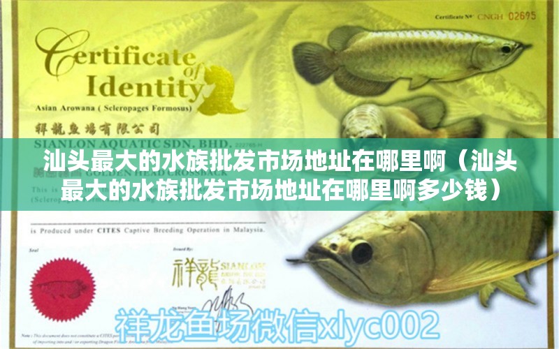 汕頭最大的水族批發(fā)市場地址在哪里?。ㄉ穷^最大的水族批發(fā)市場地址在哪里啊多少錢）