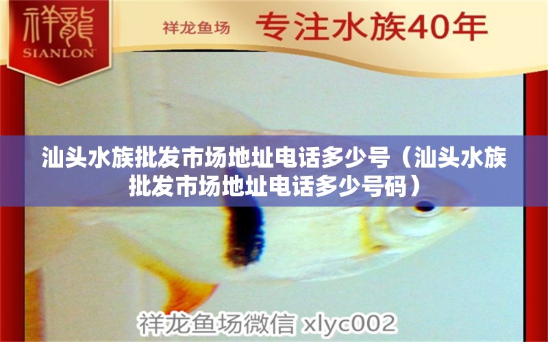 汕頭水族批發(fā)市場地址電話多少號（汕頭水族批發(fā)市場地址電話多少號碼）