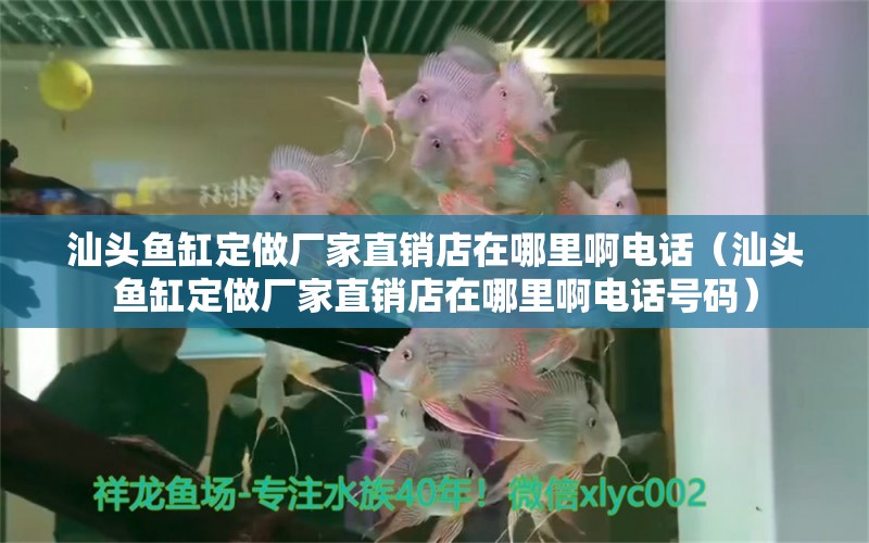 汕頭魚缸定做廠家直銷店在哪里啊電話（汕頭魚缸定做廠家直銷店在哪里啊電話號碼）