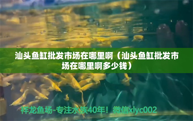 汕頭魚缸批發(fā)市場在哪里?。ㄉ穷^魚缸批發(fā)市場在哪里啊多少錢） 其他品牌魚缸