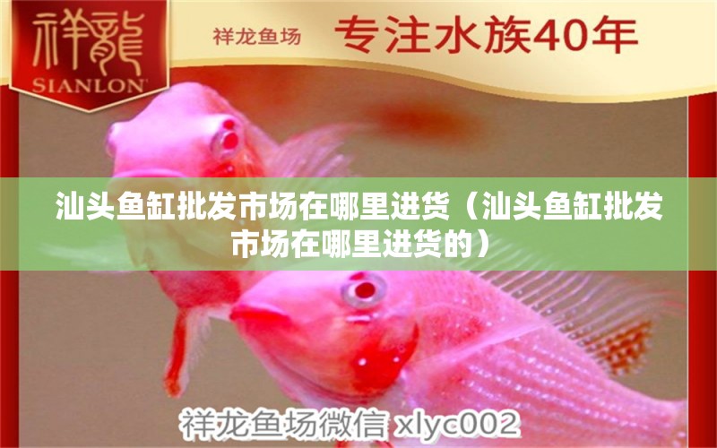 汕頭魚缸批發(fā)市場在哪里進(jìn)貨（汕頭魚缸批發(fā)市場在哪里進(jìn)貨的）