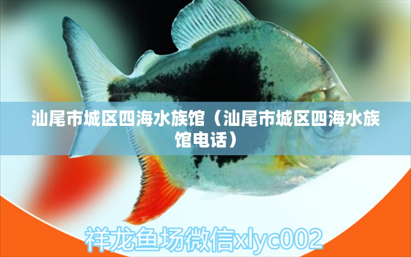 汕尾市城區(qū)四海水族館（汕尾市城區(qū)四海水族館電話） 全國水族館企業(yè)名錄