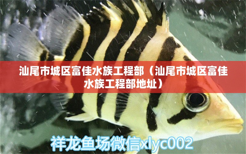 汕尾市城區(qū)富佳水族工程部（汕尾市城區(qū)富佳水族工程部地址）