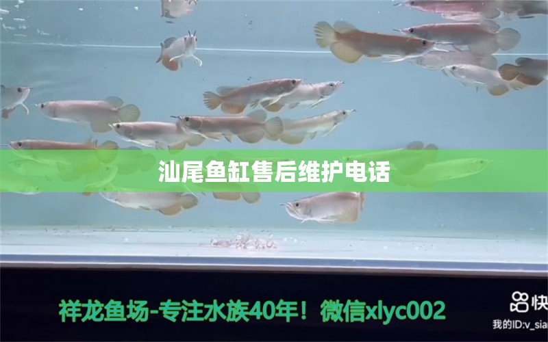 汕尾魚缸售后維護(hù)電話