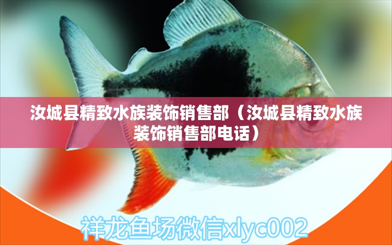 汝城縣精致水族裝飾銷售部（汝城縣精致水族裝飾銷售部電話） 全國(guó)水族館企業(yè)名錄