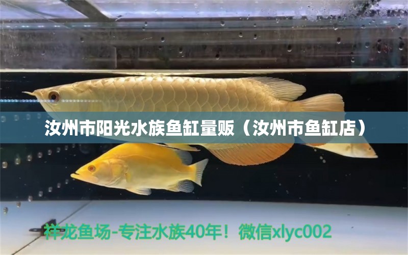 汝州市陽光水族魚缸量販（汝州市魚缸店）