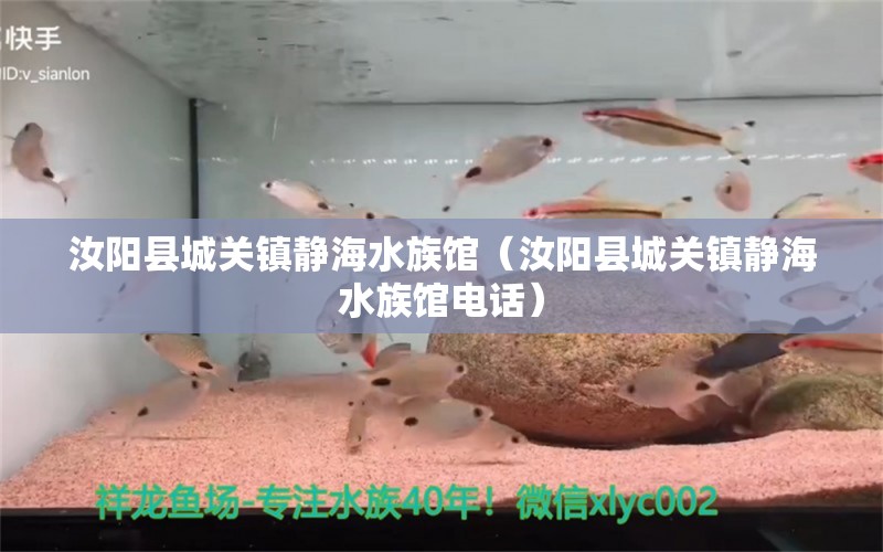 汝陽縣城關(guān)鎮(zhèn)靜海水族館（汝陽縣城關(guān)鎮(zhèn)靜海水族館電話） 全國水族館企業(yè)名錄